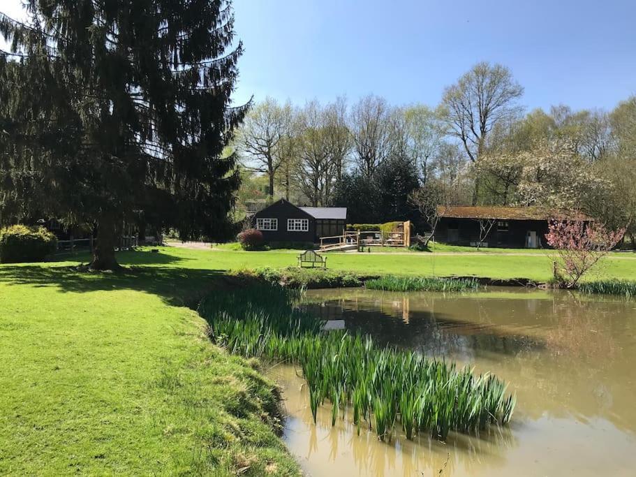 Halfmoon Lodge @ Knights Hole Wheelchair Access Cranbrook Eksteriør bilde